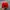 Vintage Streetwear Hat Pria red black photo 5