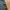 Streetwear Sportswear Tracksuit Pria navy photo 4