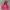 Nike Vintage Streetwear Hoody Pria red photo 1