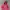 Nike Vintage Streetwear Hoody Pria Red