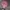 Japanese brand Y2K Hair accessory Pria pink photo 2