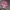 Japanese Brand Y2K Hair Accessory Pria Pink