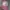 Japanese brand Y2K Hair accessory Pria pink photo 1