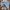Casual Denim jacket Pria white blue photo 1