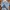 Casual Denim Jacket Pria White Blue