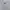 Pal Zileri Minimalist Casual Formal shirt Pria gray photo 4