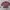 MLB Casual Sweatshirt Pria burgundy black photo 1