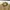 Arc'teryx Gorpcore Sportswear Parka Pria tan photo 2