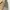 Arc'teryx Gorpcore Sportswear Parka Pria tan photo 4