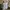 Arc'teryx Gorpcore Sportswear Parka Pria tan photo 7