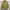 Arc'teryx Gorpcore Sportswear Parka Pria tan photo 1