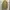 Arc'teryx Gorpcore Sportswear Parka Pria tan photo 3