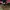 Dockers Vintage Boots Pria red photo 1