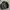 Converse Vintage Biker Casual shirt Pria black photo 1
