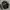 MLB Vintage Sportswear Bomber Jacket Pria Black