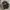 MLB Vintage Sportswear Bomber jacket Pria black photo 2