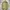Streetwear Harrington jacket Pria tan photo 1