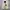 Streetwear Fleece Pria green cream photo 1