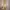 AUTHENTIC VINTAGE 90S Y2K VELVET RIBBON photo 2