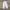 Streetwear Sportswear Sweatpants & Joggers Pria gray photo 7