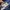 Adidas Streetwear Sportswear Sweatpants & Joggers Pria blue photo 7