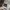 Under Armour Sportswear Sweatpants & Joggers Pria gray photo 5