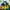 Gorpcore Puffer jacket Pria green blue photo 2