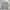 Nautica Vintage Harrington jacket Pria white navy photo 1