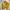 Vintage Harrington jacket Pria yellow photo 1