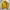 Vintage Harrington Jacket Pria Yellow