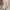 Fairy Cosplay Culotte Wanita tan photo 1