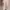 Fairy Cosplay Culotte Wanita Tan