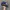 Y2K Hat Pria navy yellow photo 2