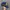 Y2K Hat Pria Navy Yellow