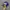 Y2K Hat Pria navy yellow photo 1