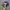 Y2K Hat Pria Navy Yellow