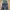 Louis Vuitton Streetwear Luxury Casual pants Pria white blue photo 5