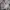 Japanese brand Vintage Y2K Backpack Wanita gray photo 2