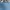 Prada Luxury Minimalist Makeup bag Wanita blue photo 2
