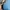 Prada Luxury Minimalist Makeup bag Wanita blue photo 6