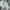 Streetwear Sportswear Hoody Pria gray photo 3
