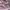 Lolita Casual Skirt Wanita purple pink photo 3