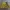 Y2K Biker Skirt Wanita blue yellow photo 1