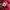 Anti Social Social Club Streetwear Sweatshirt Pria pink photo 6