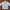 Luxury Casual Puffer Jacket Pria Green Blue