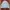 Luxury Casual Puffer jacket Pria green blue photo 2
