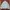 Luxury Casual Puffer Jacket Pria Green Blue