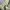 Luxury Casual Puffer jacket Pria green blue photo 4