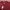 Columbia Sportswear Jersey Pria burgundy photo 2
