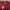 Columbia Sportswear Jersey Pria Burgundy